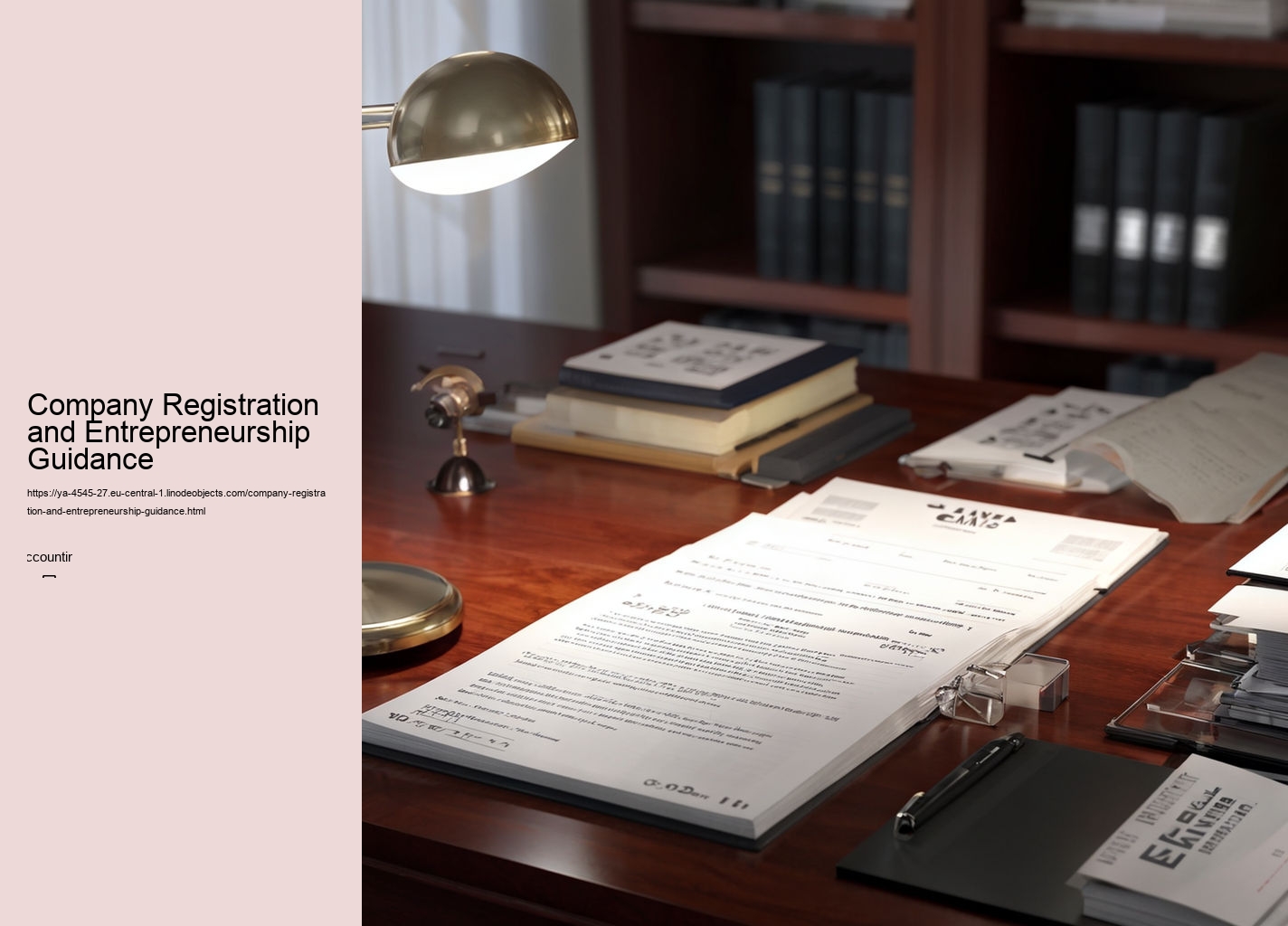 Company Registration and Entrepreneurship Guidance